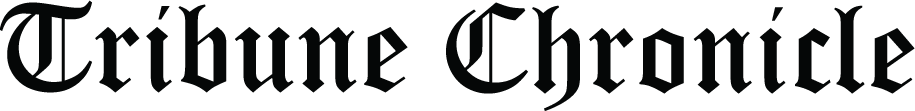 homepage logo